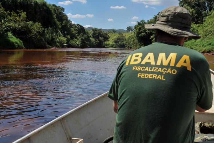 A responsabilidade pela realização dos concurso público será do próprio Ibama