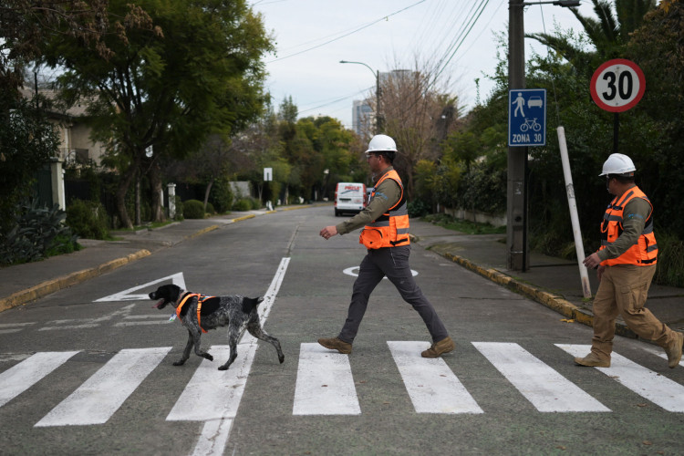 A cadela Suki faz longas caminhadas na capital do Chile todos os dias com um objetivo especial em mente: detectar canos quebrados no subsolo com seu poderoso olfato, economizando milhões de litros de água 