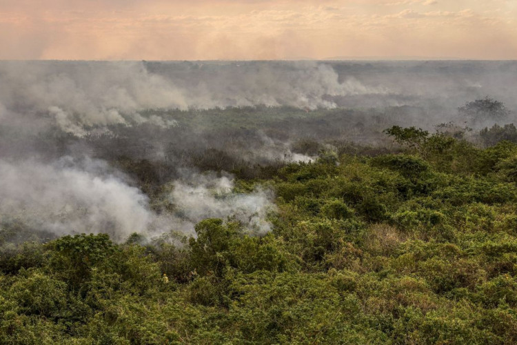 Pantanal poderá ter crise hídrica histórica em 2024, aponta estudo