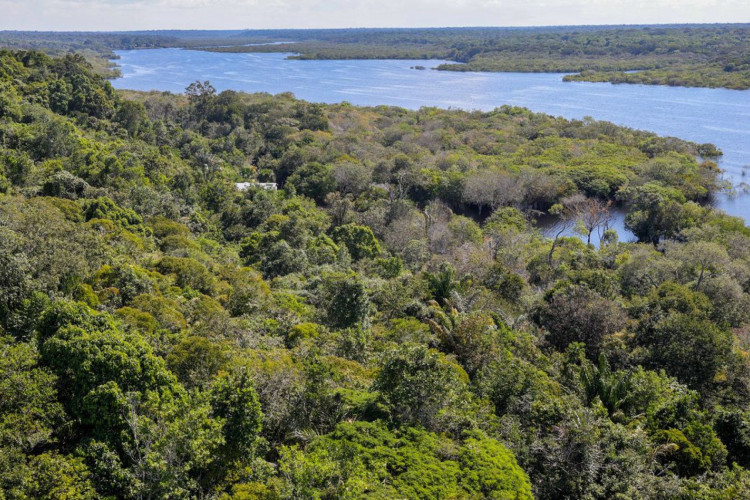 Comunidade tradicional na Amazônia recebe competição internacional