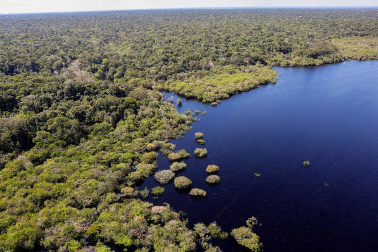 Criação do Museu das Amazônias é lançada em Belém