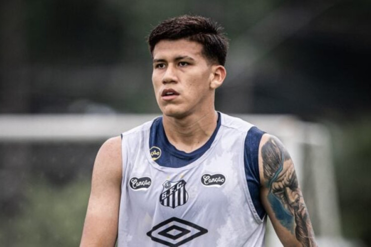Zagueiro boliviano não está nos planos do técnico Fábio Carille, que o retirou dos treinos do time principal do Santos no primeiro semestre