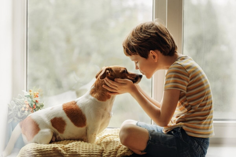 Tratamento assistido com animais tem se mostrado uma abordagem eficaz para o desenvolvimento das crianças com autismo (Imagem: Yuliya Evstratenko | Shutterstock)