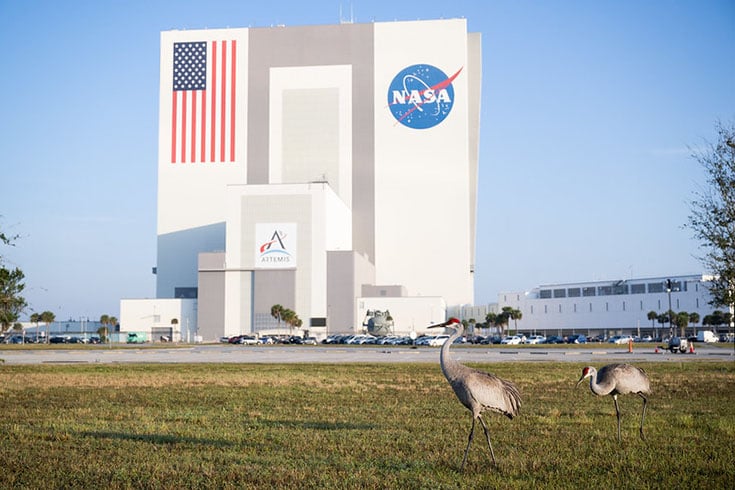 A agência Espacial dos EUA
mantém o serviço de streaming NASA+, que desperta o interesse de aficionados por assuntos do universo.