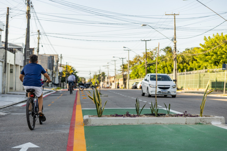 Prefeitura de Fortaleza realiza plantio de árvores em ciclofaixa na Barra do Ceará
