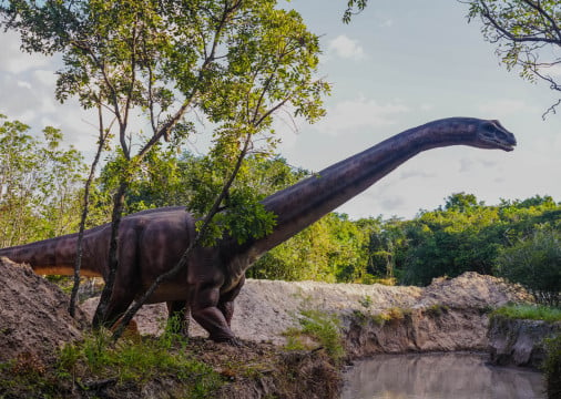 Com mais de 60 réplicas, Parque de Dinossauros estreia em Caucaia; saiba detalhes e preços