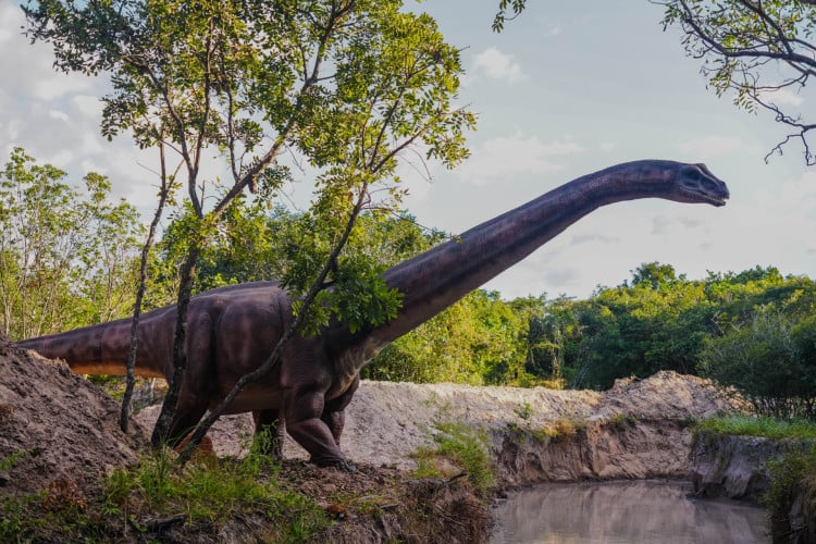 Parque temático de dinossauros Prehistoric Park, em Caucaia, estreia para o público nesta sexta-feira, 26