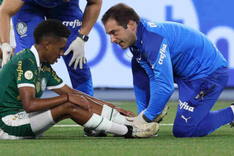 O jogador Estêvão e o médico Pedro Pontin (D), da SE Palmeiras, em jogo contra a equipe do Botafogo FR, durante partida válida pela décima sétima rodada, do Campeonato Brasileiro, Série A, no Estádio Nilton Santos. (Foto: Cesar Greco/Palmeiras/by Canon)