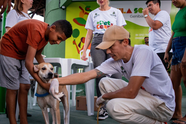 FORTALEZA, CEARÁ, BRASIL, 29-08-2024: Governo do Ceará, por meio da Secretaria da Proteção Animal, em parceria com a Secretaria da Proteção Social (SPS) e a Secretaria da Juventude (Sejuv), realiza o primeiro Giro Pet Ceará, levando atendimento veterinário para a Vila Social do Genibaú com atendimentos para cachorros e gatos.. (Foto: Samuel Setubal/ O Povo)