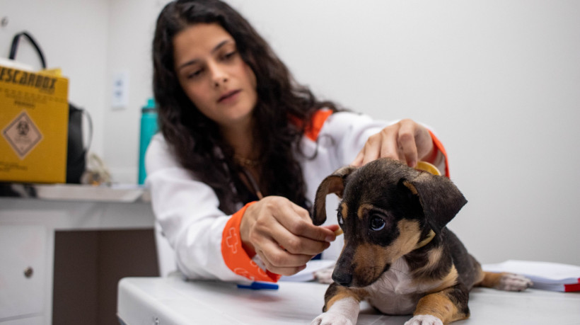 Pet Ceará Móvel funcionará no Shopping RioMar Fortaleza