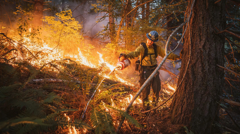 Vencedora da categoria Homem/Natureza, mostra um especialista causando pequenos incêndios na vegetação para estimular a renovação da vegetação
