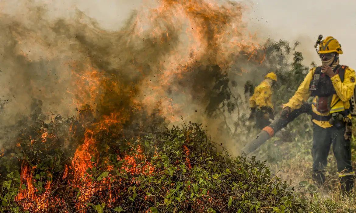 Fogo já consumiu 1,3 milhão de hectares e volta a aumentar no Pantanal