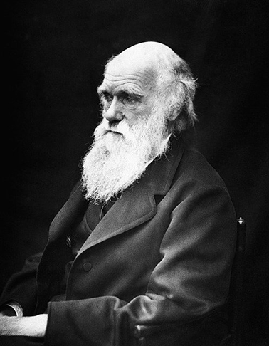 O naturalista, geólogo e biólogo britânico Charles Darwin foi um dos maiores cientistas da história. Ele revolucionou o pensamento com sua Teoria da Evolução, que propôs a descendência dos seres vivos a partir de um ancestral em comum. 