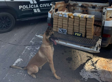 Cão farejador ajudou policiais a encontrar a droga escondida em carro, em Icó 