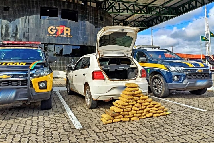 Drogas apreendidas pela Polícia Civil e Polícia Rodoviária Federal