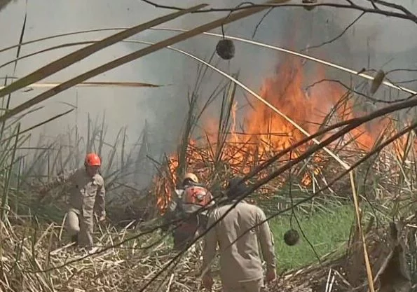 Os incêndios gravíssimos no Pantanal causam perplexidade e tristeza. A região, uma das mais importantes do Brasil, ganhou imensa popularidade com a novela 