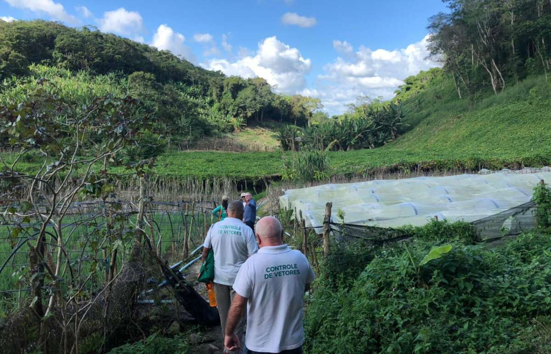 CASOS de febre do oropouche foram registrados no Maciço de Baturité (Foto: Divulgação/ Secretaria de Vigilância em Saúde)