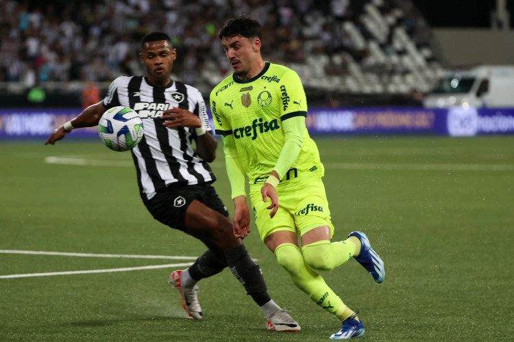 O Palmeiras vai enfrentar o Botafogo: veja onde assistir ao vivo ao jogo da Copa Libertadores