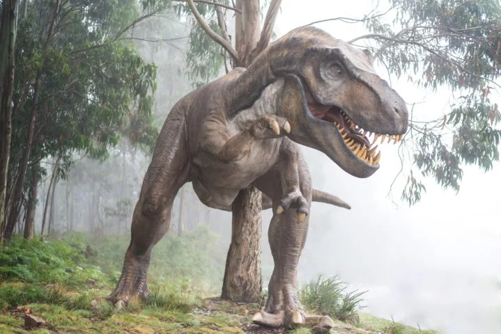 Um estudo recente da revista Science Advances sugere que os dinossauros não foram extintos exclusivamente devido ao impacto de um meteorito, como muito já se falou. 