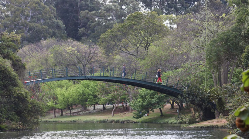 Hoje é Dia: Ibirapuera, Getúlio e Leminski são destaques da semana