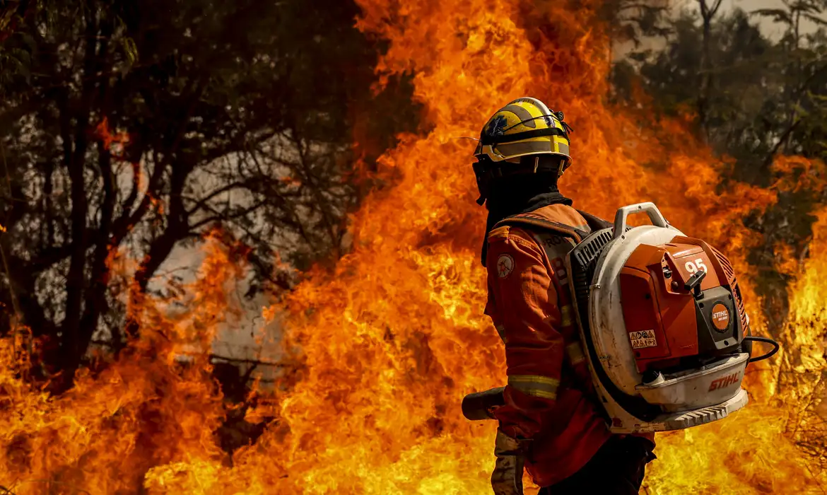 Bombeiros do DF apagam incêndio em área de nascente do Lago Paranoá