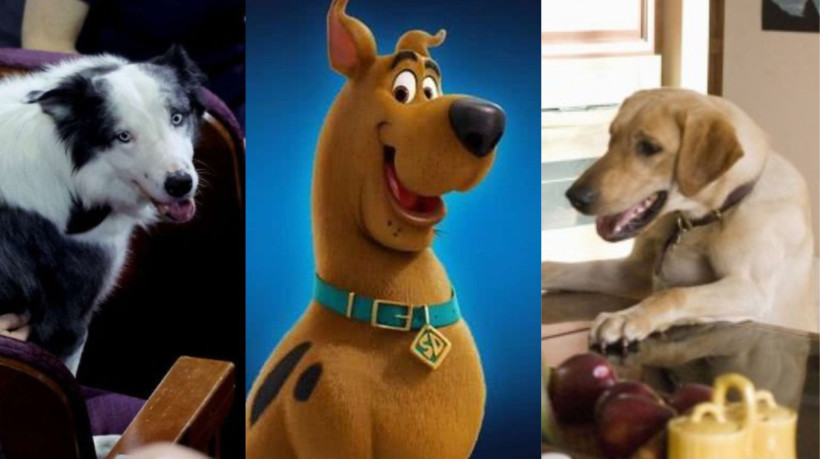 Messi, Scooby-Doo e Marley são algumas das diversas representações de cães em mídias ao longo da história 