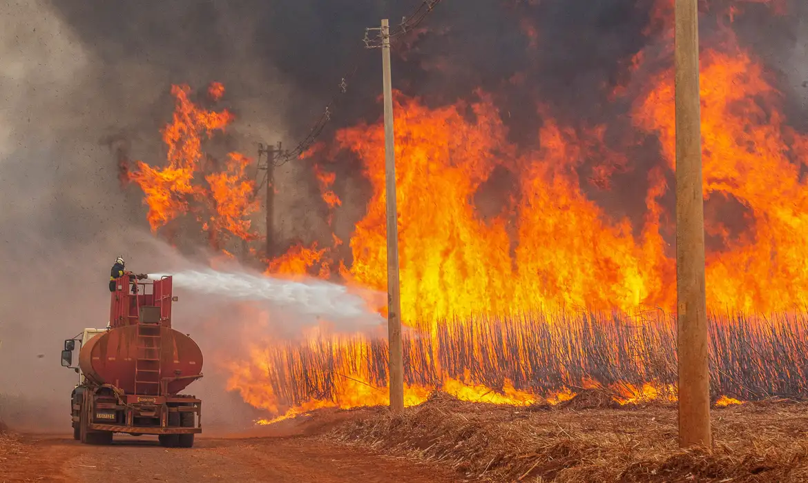 Mais de 80% dos focos de calor em SP estão em áreas de agropecuária