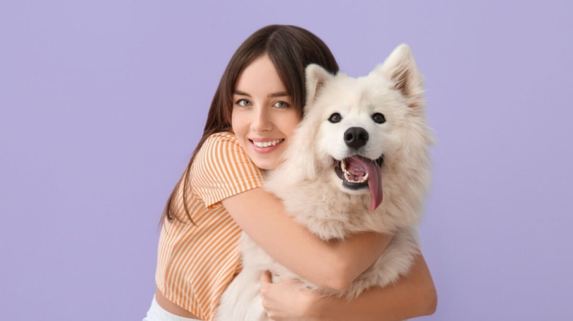 O samoieda é um cachorro amigável e afetuoso (Imagem: Pixel-Shot | Shutterstock)