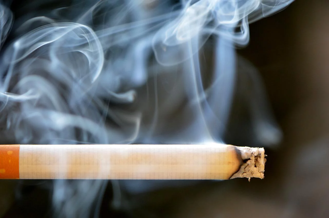 29 de agosto é Dia Nacional de Combate ao Fumo.  Embora o tabaco seja notoriamente prejudicial à saúde e, em muitos casos, fatal, o cigarro ainda é largamente consumido. E campanhas de conscientização tentam desestimular essa prática. 