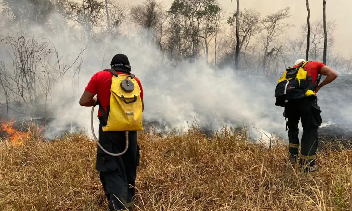 Incêndio na Floresta Nacional de Brasília é extinto