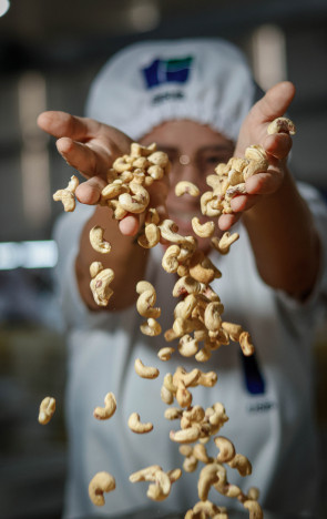 Fábrica da Usibras também diversifica com produção de castanhas caramelizadas(Foto: AURÉLIO ALVES)