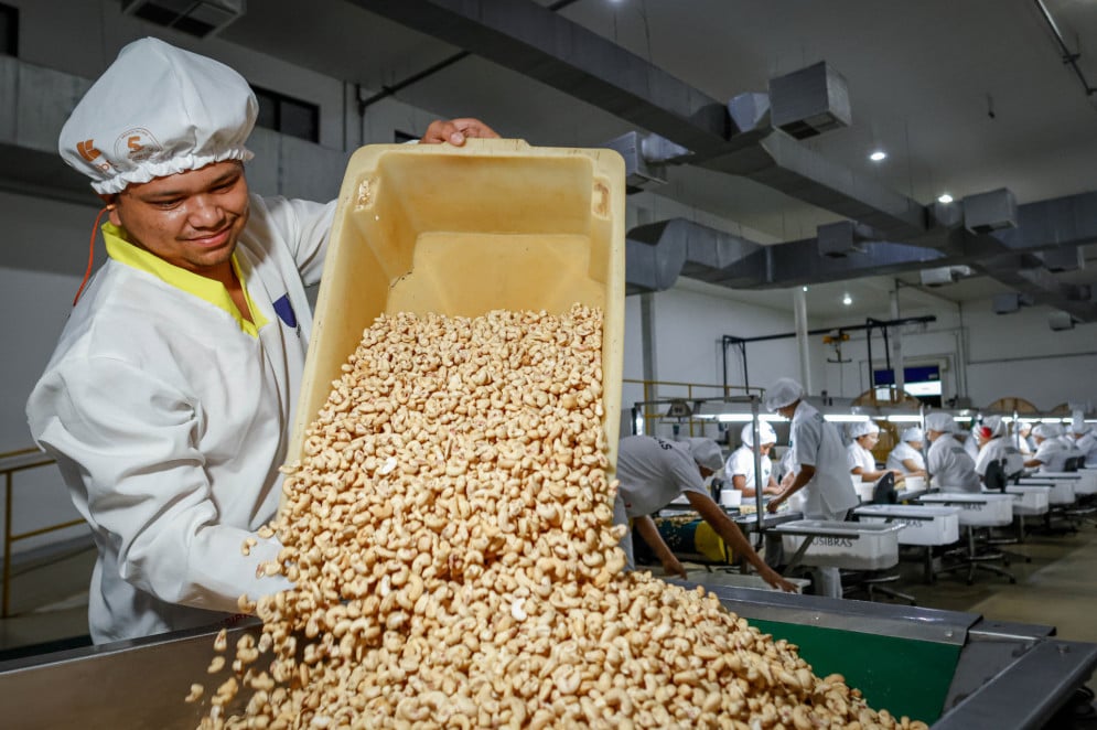 Usibras é considerada maior produtora de castanhas do mundo(Foto: AURÉLIO ALVES)