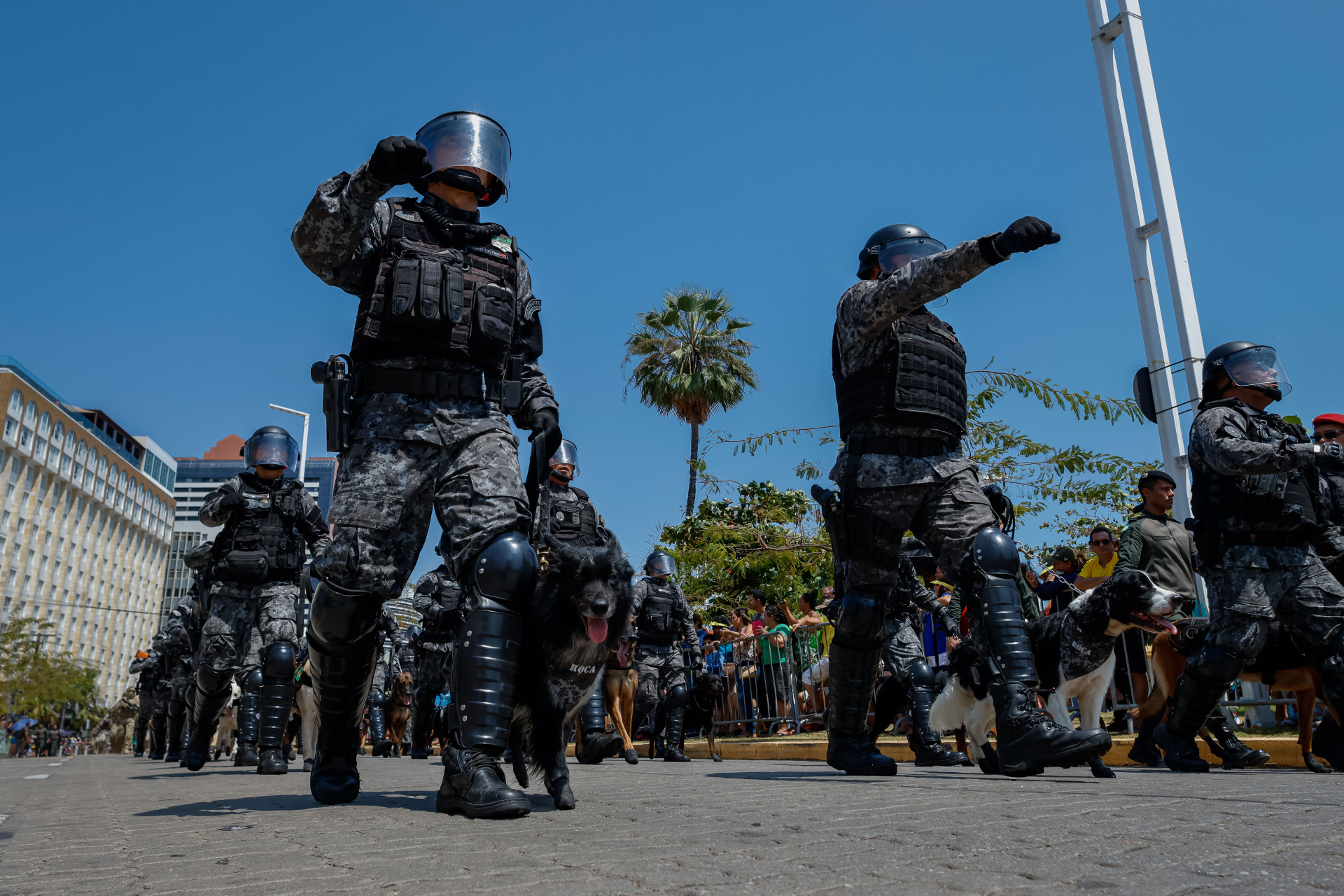 ￼DESFILE de 7 de Setembro na avenida Beira Mar, em 2024 (Foto: AURÉLIO ALVES)