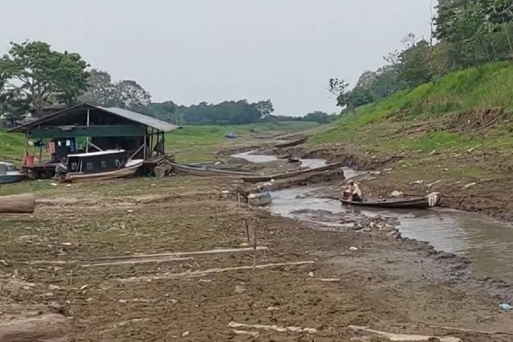 O Brasil passa por um período de seca que especialistas estão apontando como o pior da história do país, em tempo e intensidade. 
