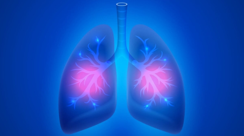 A pneumonia é uma doença causada por bactérias, fungos ou vírus que afetam o pulmão (Imagem: HobbitArt | Shutterstock)