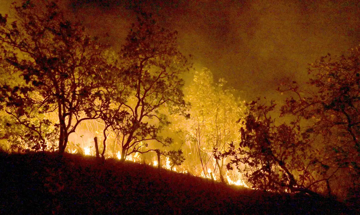  Bombeiros combatem mais de 330 incêndios no estado do Rio