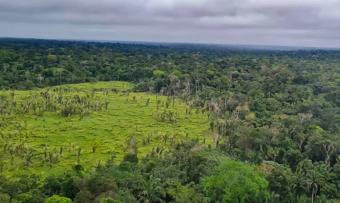  Alertas de desmatamento na Amazônia caem 10,6% em agosto