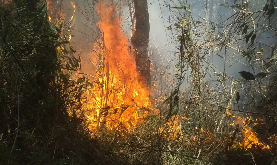 União de esforços busca conter incêndio na Serra dos Órgãos, no Rio