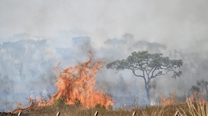 Incêndio florestal afeta o Parque Nacional de Brasília