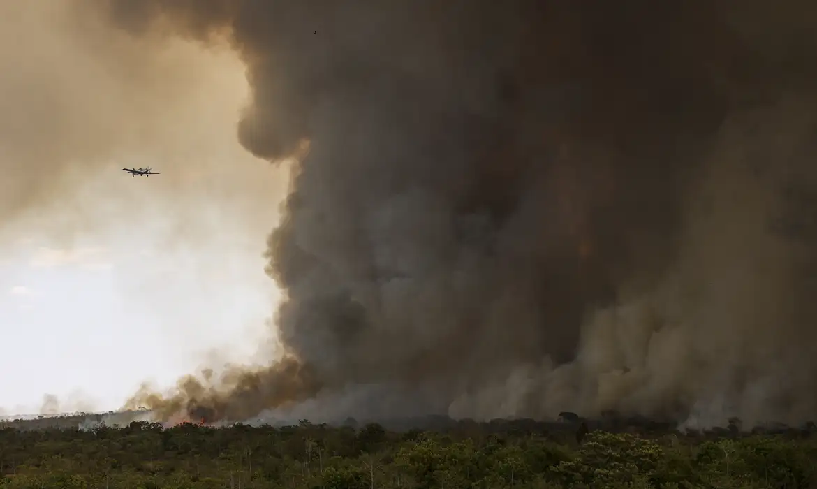 Fogo avança e queima 700 hectares do Parque Nacional de Brasília