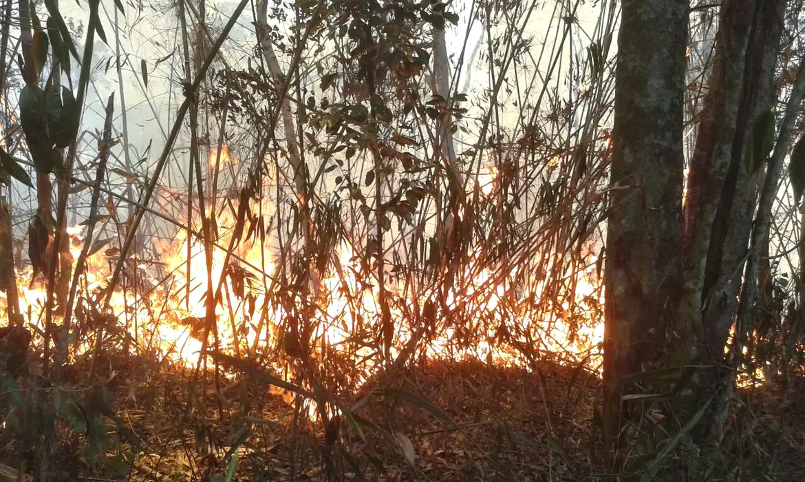 Polícia do Rio realiza operações contra suspeitos de causar incêndios