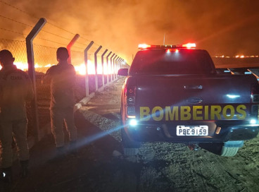 Mais de 2000 incêndio em vegetação já foram registrados este ano 