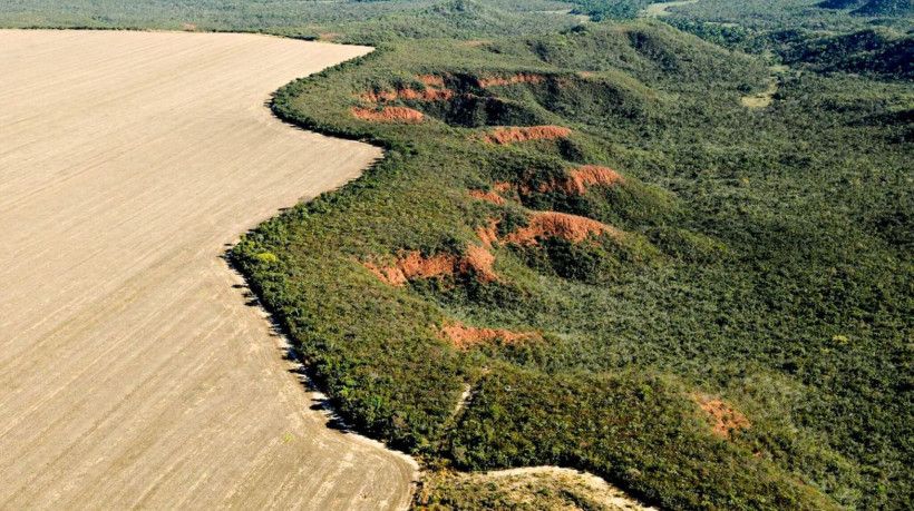 Cerrado: desmatamento emite 135 milhões de toneladas de CO2 desde 2023