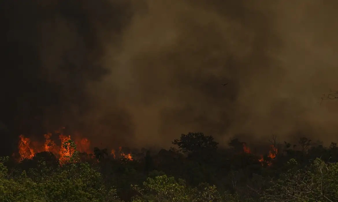 Chuva ajuda a apagar incêndio no Parque da Serra dos Órgãos, no Rio