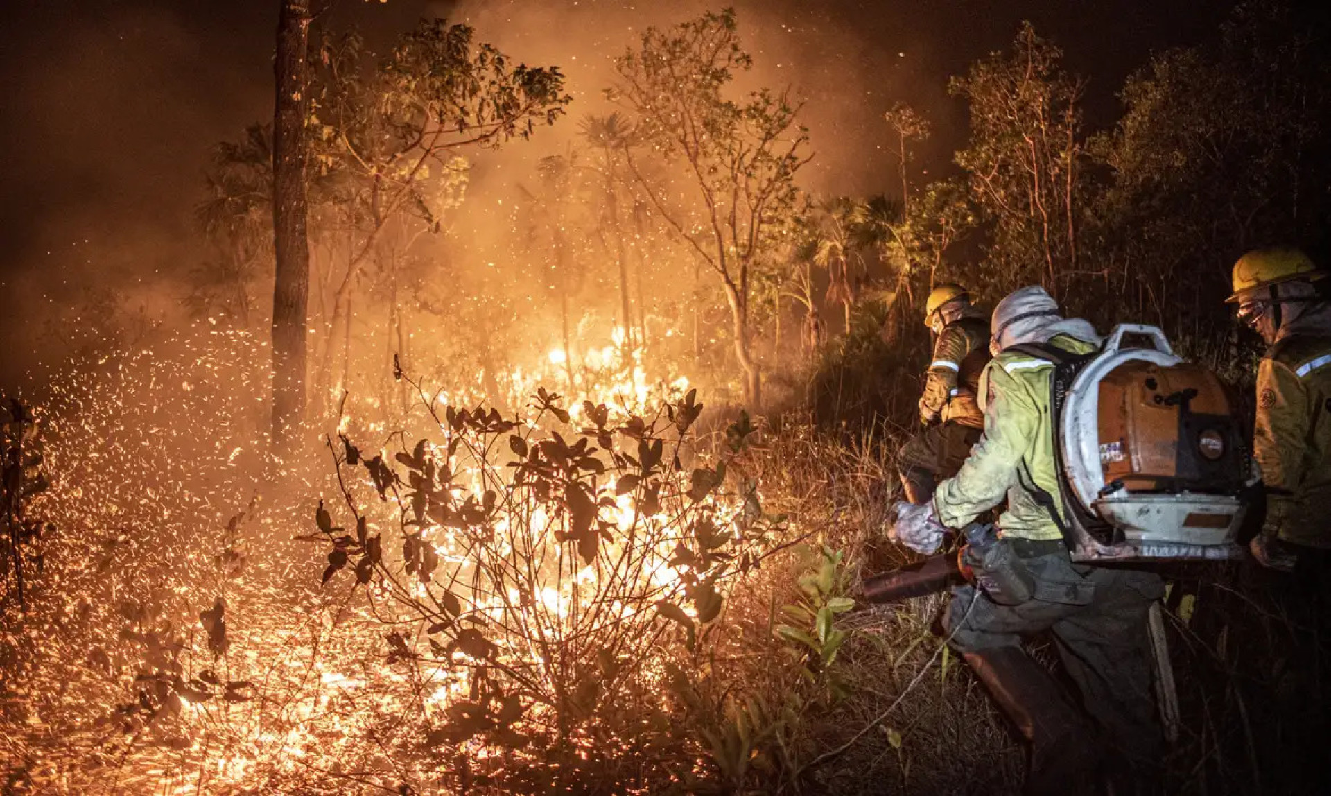 Região sofre com intensificação de queimadas e estiagem desde meados de agosto(Foto: Mayangdi Inzaulgarat/Ibama)