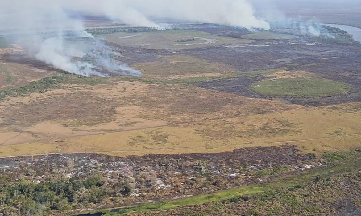 Suspeitos de incêndio criminoso no Pantanal são alvo de operação da PF