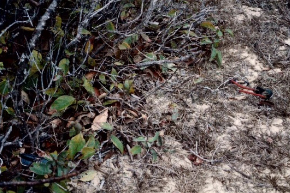 Óculos ray-ban pertencente a Gaia e baladeira foram encontrados próximos ao corpo da vítima(Foto: Reprodução/Pefoce)