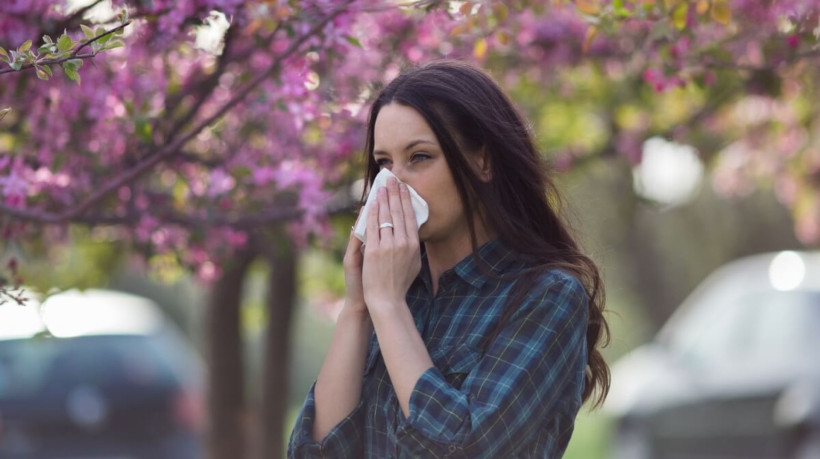 Aumento da presença de pólen combinado com o tempo seco e poluição podem piorar problemas respiratórios (Imagem: Budimir Jevtic | Shutterstock)