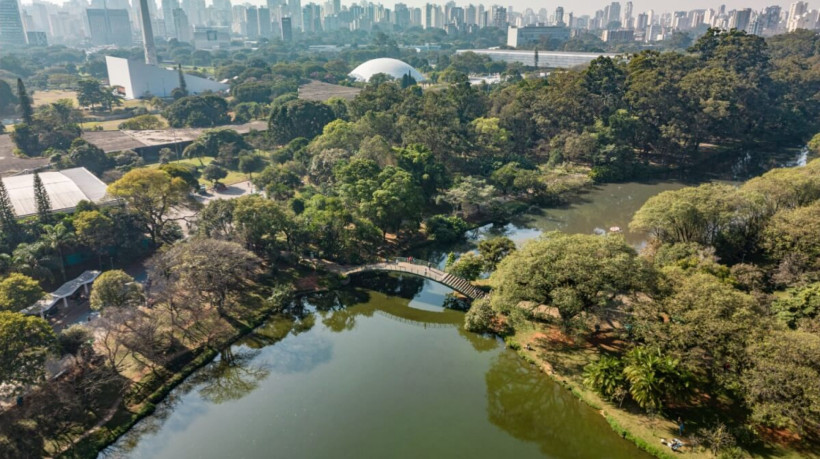 As árvores contribuem para diminuir o calor excessivo nas cidades (Imagem: pauloalberto82 | Shutterstock)