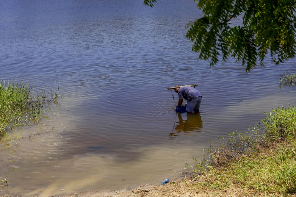 Ondas de calor combinadas a secas podem resultar no aumento de incêndios florestais, impactando na degradação do solo(Foto: FCO FONTENELE)